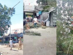 Antisipasi Terjadi Musibah, Pohon di Alun-alun Moga Dipangkas