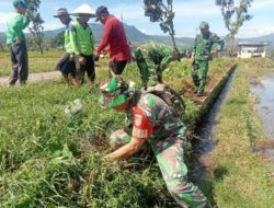 Sinergi Babinsa dan Petani dalam Pemberantasan Hama Tikus di Pemalang