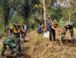 Upaya Melestarikan Lingkungan: PDAM Tirta Mulia Koramil 13/Pulosari Dan Limata Tanam 265 Pohon .