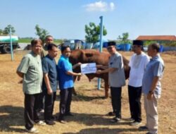 Idul Adha 1446 Hijriah Perumda Tirta Mulia Pemalang Salurkan 40 Hewan Kurban.