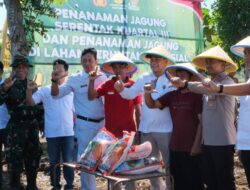 Wujudkan Swasembada Pangan, 2,5 Ha Lahan di Pemalang Ditanami Jagung BISI-18