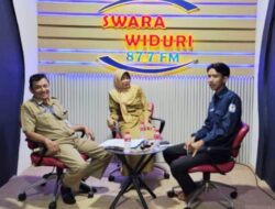 Pemalang Kaya Potensi Perikanan: Dari Laut Jawa Hingga Pegunungan