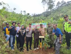 Hijaukan Lahan Kritis, Dandim Bersama Forkopimda Pemalang Tanam 1200 Bibit Pohon di Desa Cikendung.