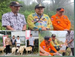 Pulihkan Ekonomi Pascabanjir, Camat Pulosari Kawal Penyaluran Ternak dan Benih Ikan Desa Penakir