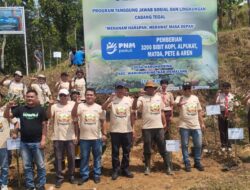 Menanam Harapan di Bukit Bulu Wayang: KTH Hijaukan Warungpring dengan 3.200 Bibit Pohon