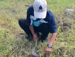 Aksi Cepat DPUPR Pemalang Tata Kembali Stadion Jatidiri Comal