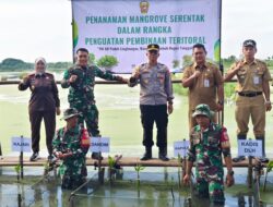 ​Cegah Abrasi Pesisir, Kodim Pemalang Tanam 1.000 Pohon Mangrove di Ulujami