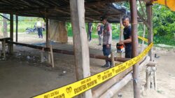 Polres Pemalang Bongkar Lokasi Sabung Ayam Sikandang Comal