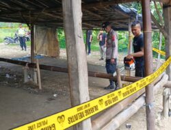 Polres Pemalang Bongkar Lokasi Sabung Ayam Sikandang Comal