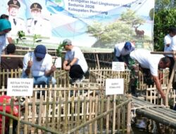 ​Hijaukan Pesisir Ulujami, Pemkab Pemalang Tanam 3.000 Mangrove di Hari Lingkungan Hidup