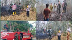 Sinergi Petugas dan Warga Padamkan Kebakaran Lahan Bambu di Mandiraja Pemalang